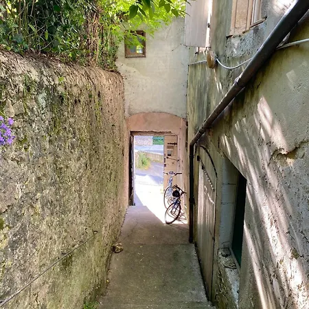 House With Garden - Center * 迪约勒菲